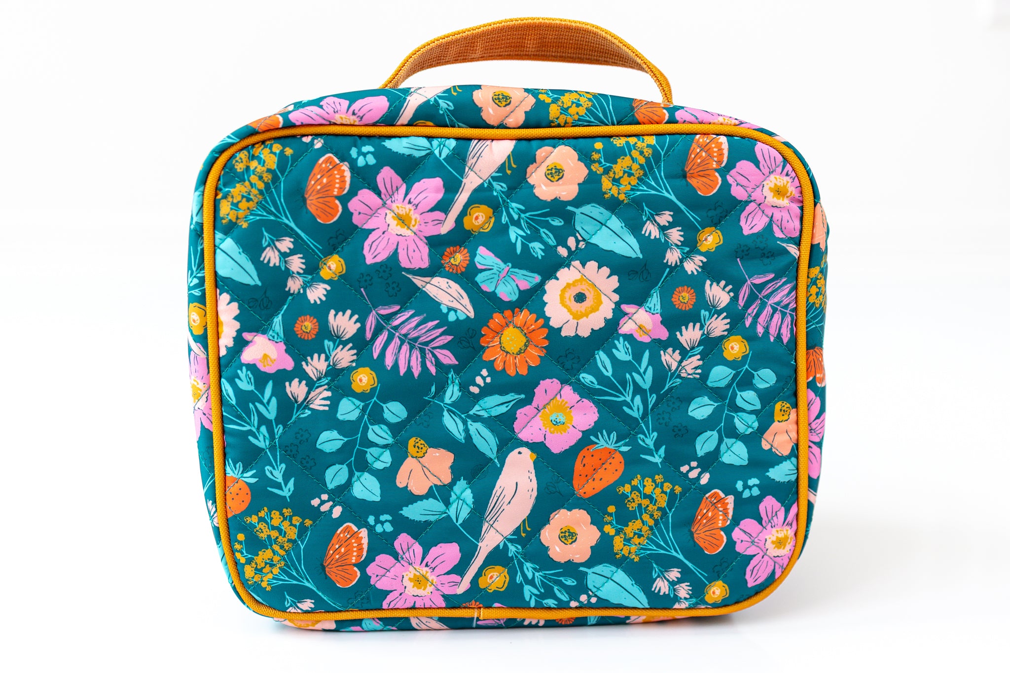 Class Is In Lunchbox (Pre-Order)