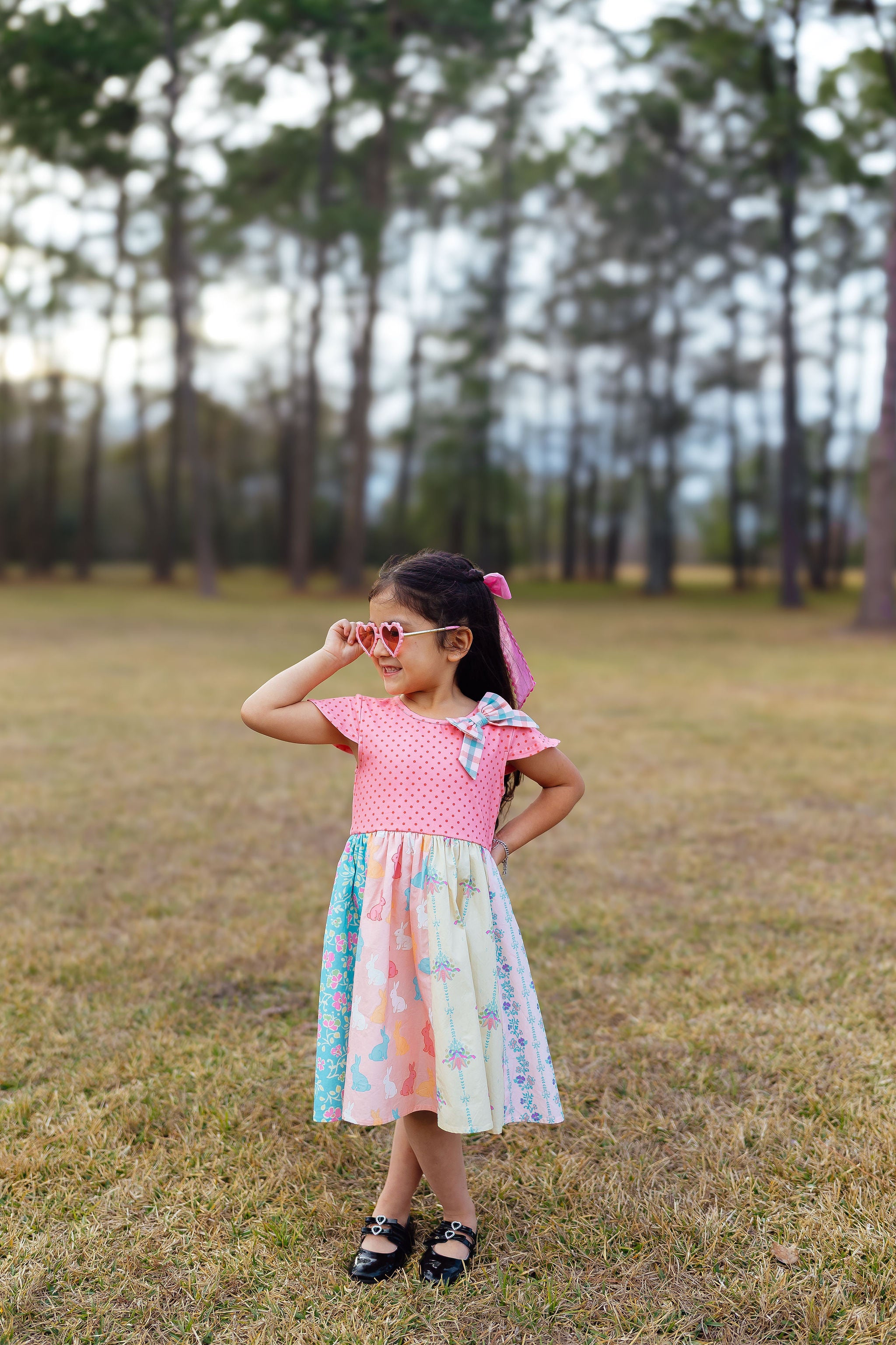 The Carrot Patch Picnic Panel Dress (Pre-Order)