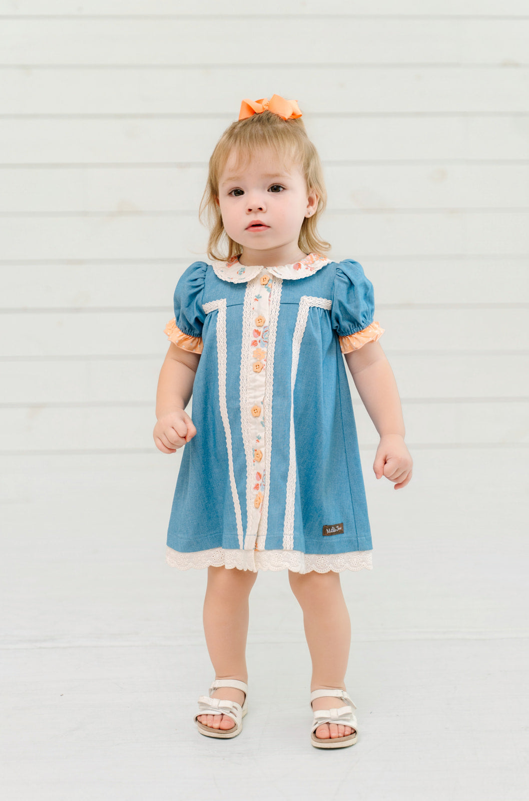 Cottage Gate Chambray Dress (Pre-Order)